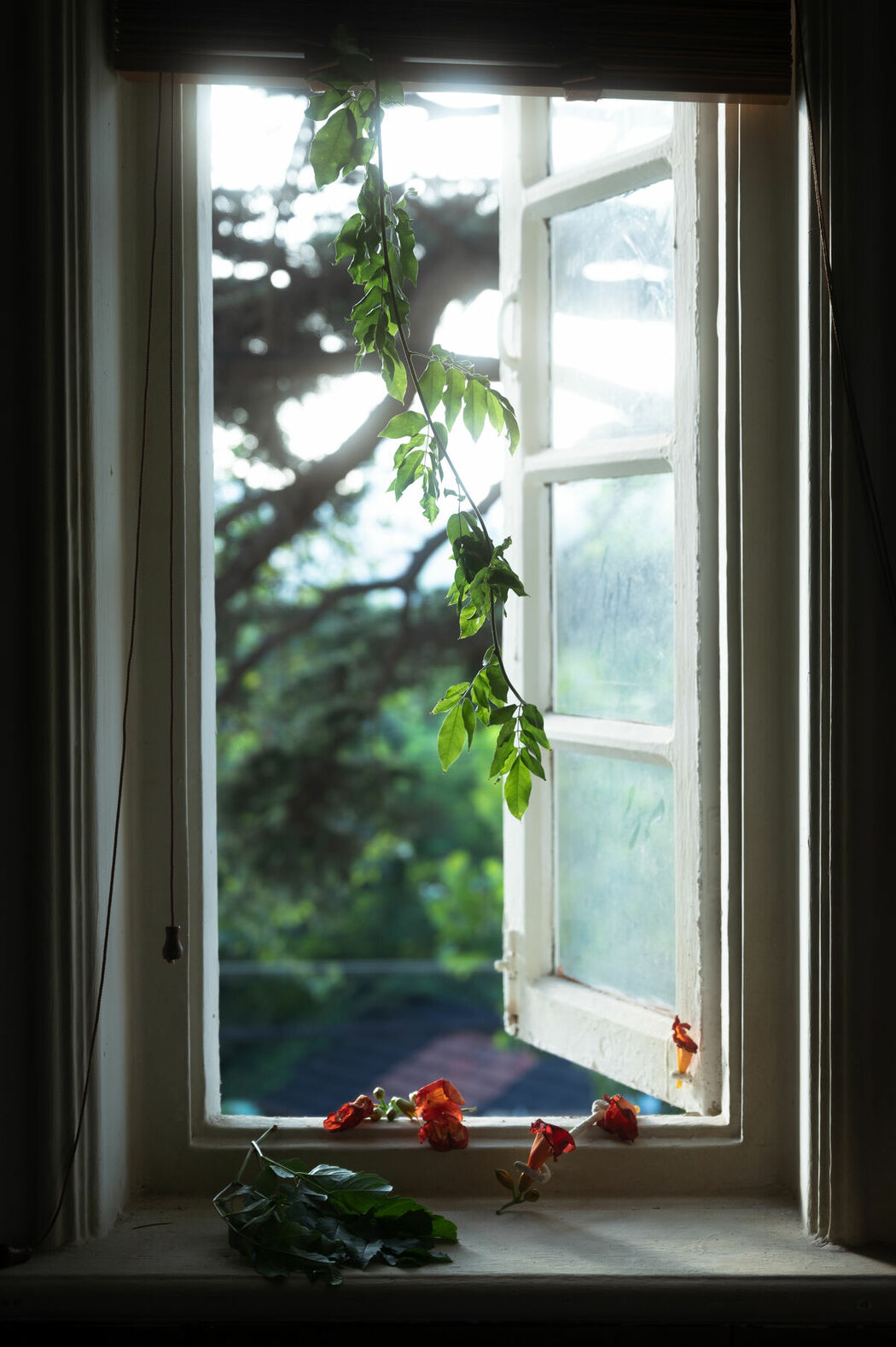 YiTuYu艺图语 Vol.9102 Cai Jing Fan (14P)