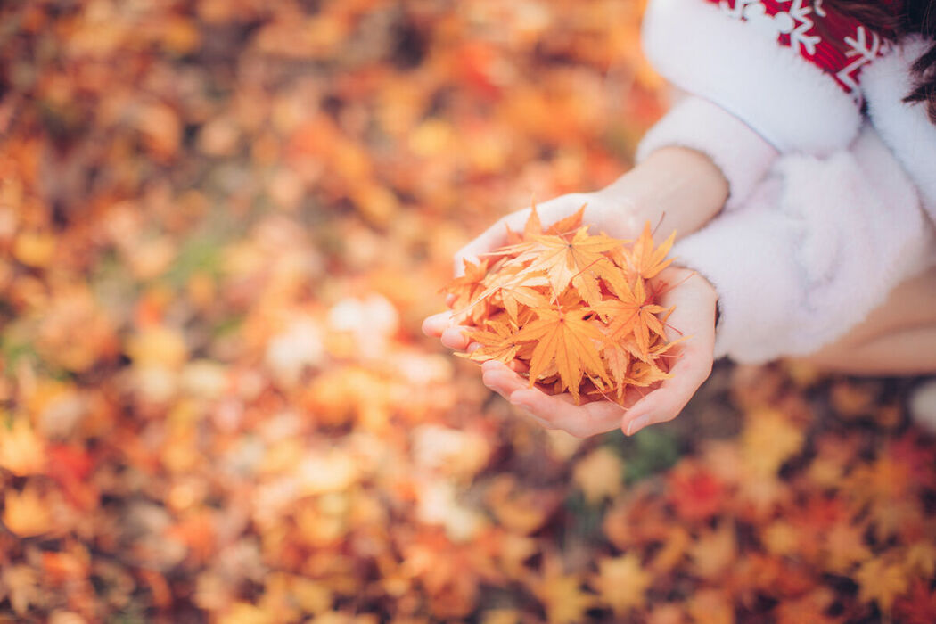 YiTuYu艺图语 Vol.9134 Xu Shi Qi Ma (17P)