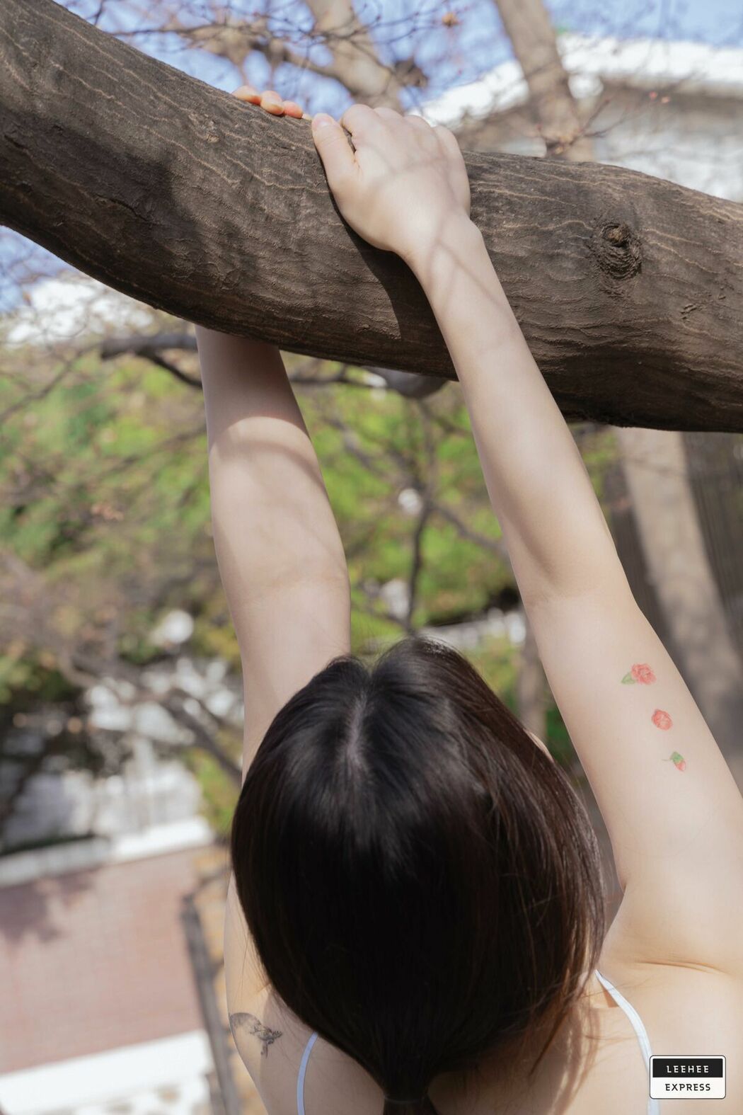 LE LEDG-180 Sunny (75P)