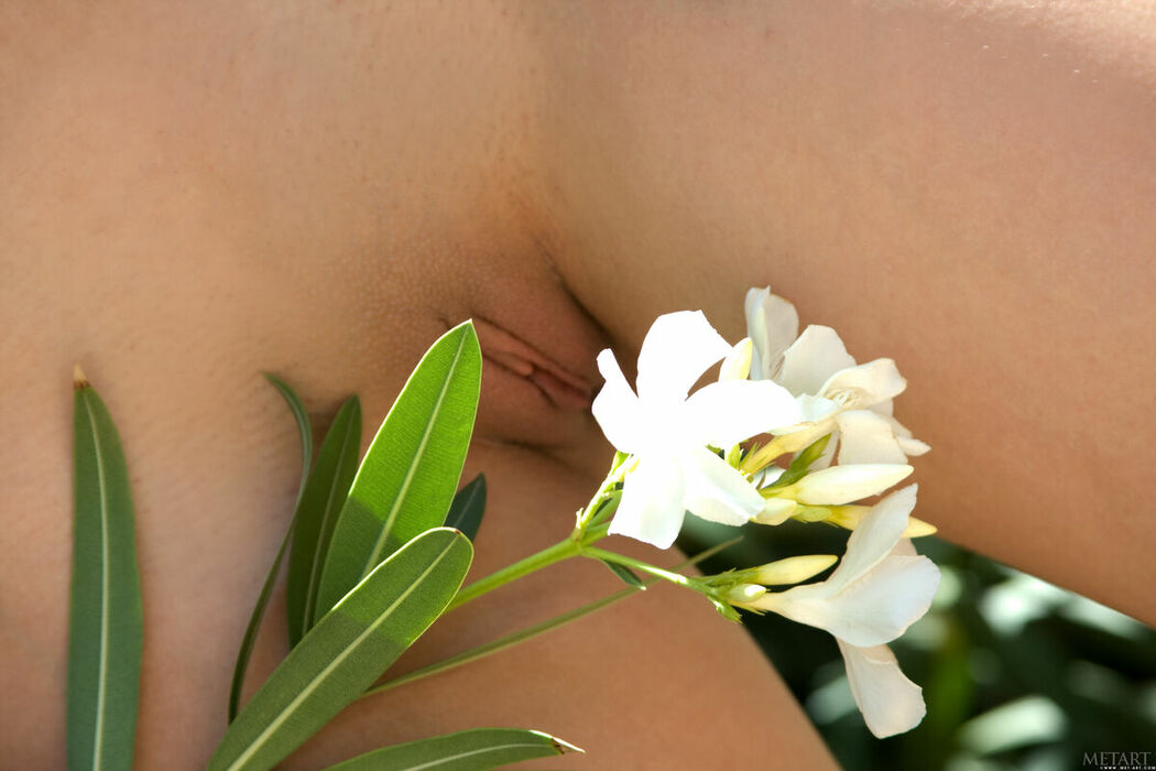 MetArt Darien – Valley Part02 (60P)