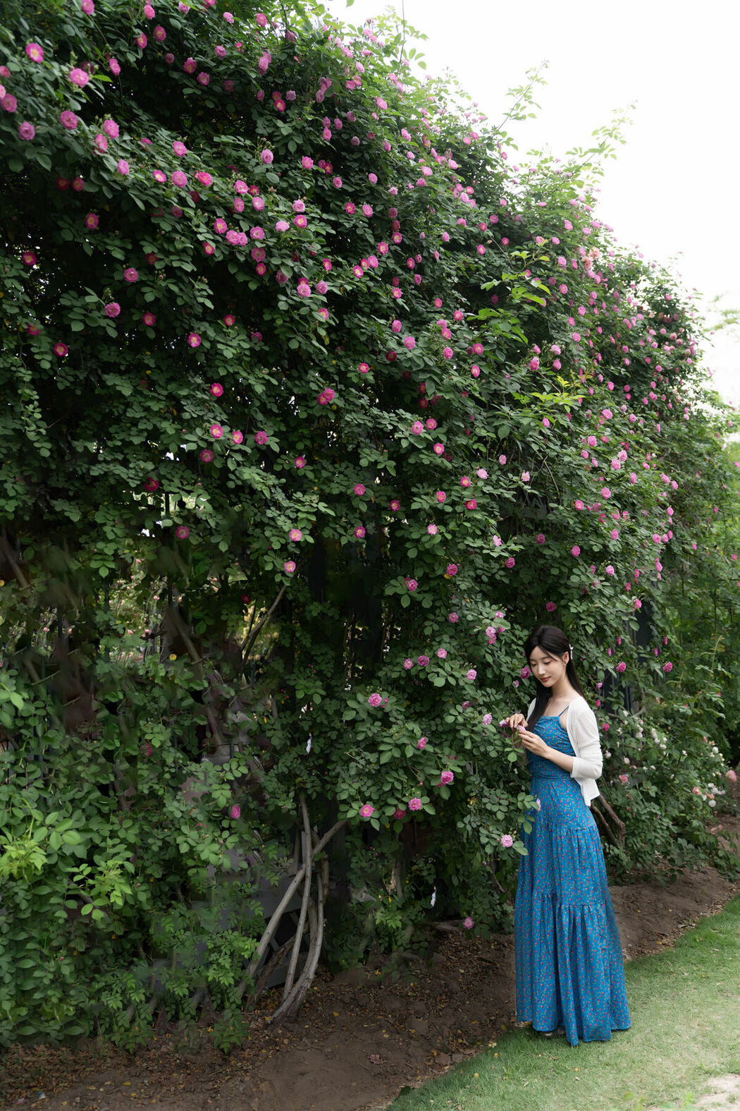 YiTuYu艺图语 Vol.9158 Zhi Zhi Wen (37P)