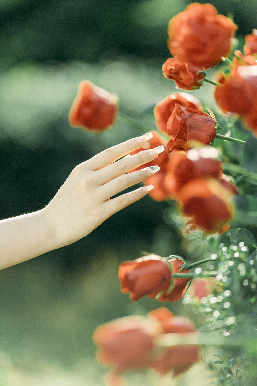 YiTuYu艺图语 Vol.9145 Li Zhi Mi ko (31P)