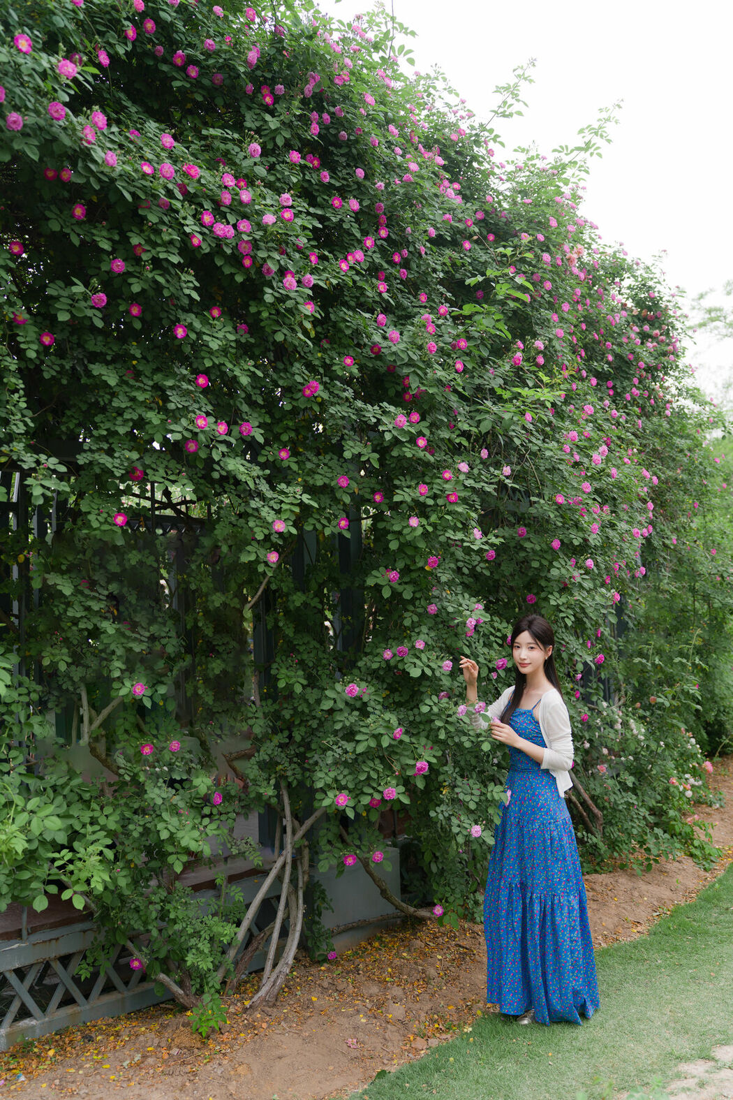 YiTuYu艺图语 Vol.9158 Zhi Zhi Wen (37P)