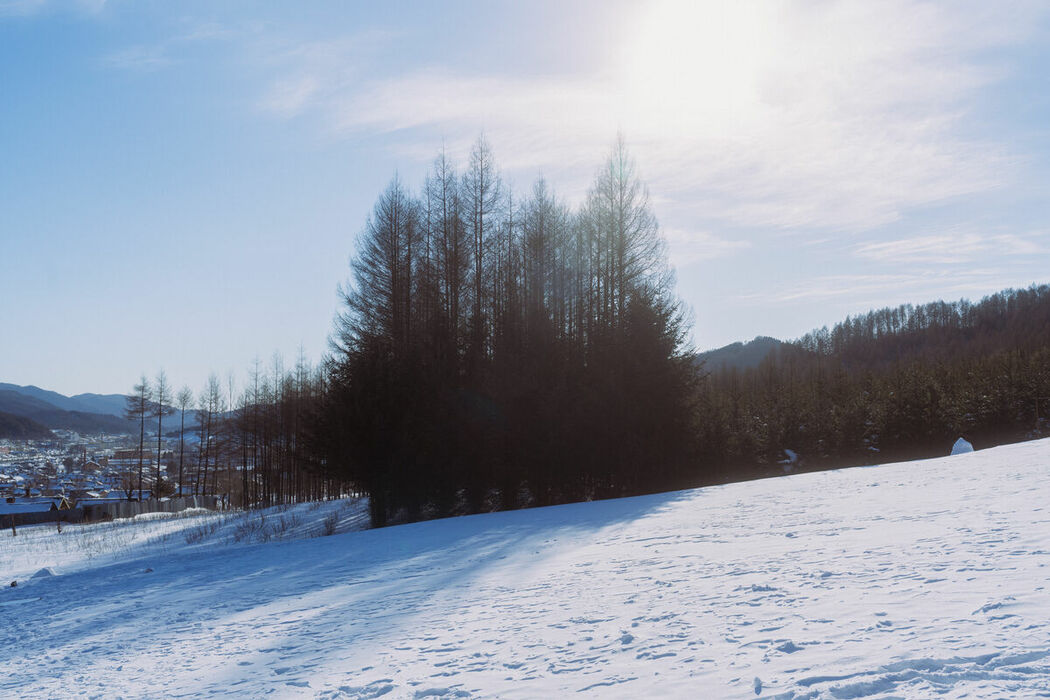 YiTuYu艺图语 Vol.9167 Hua Lao De Xiao Hu (22P)