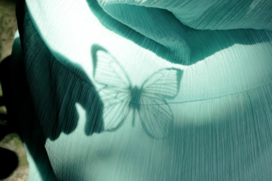 YiTuYu艺图语 Vol.9201 Wo Shi Yi Ke Sheng Dan Shu (18P)