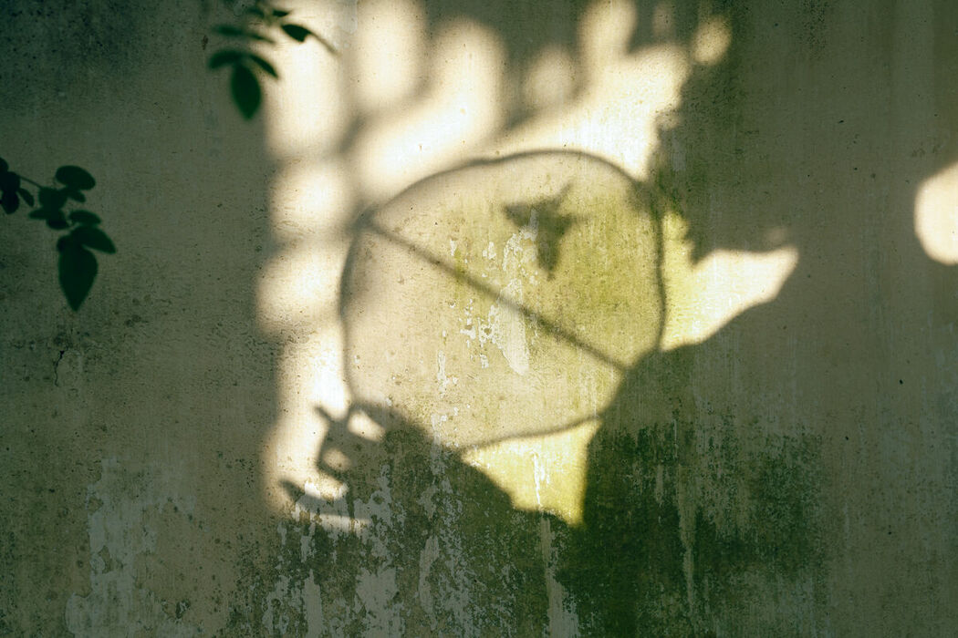 YiTuYu艺图语 Vol.9195 Li Yu Ayu (43P)