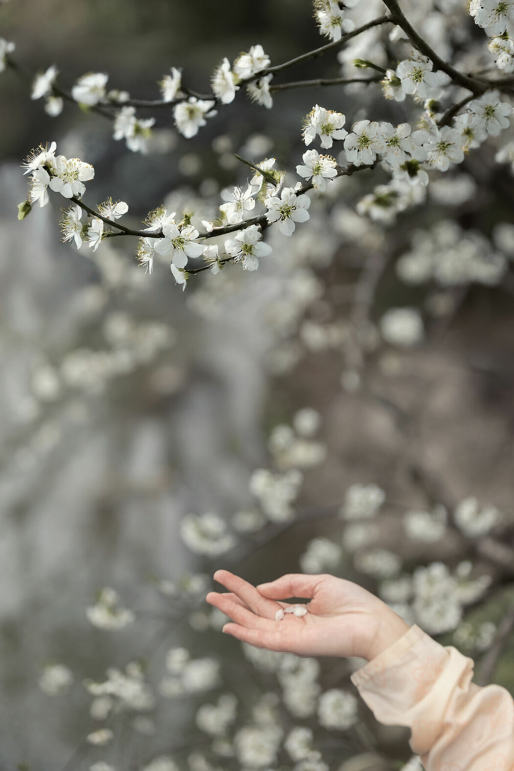 YiTuYu艺图语 Vol.9202 Shan Nan (40P)