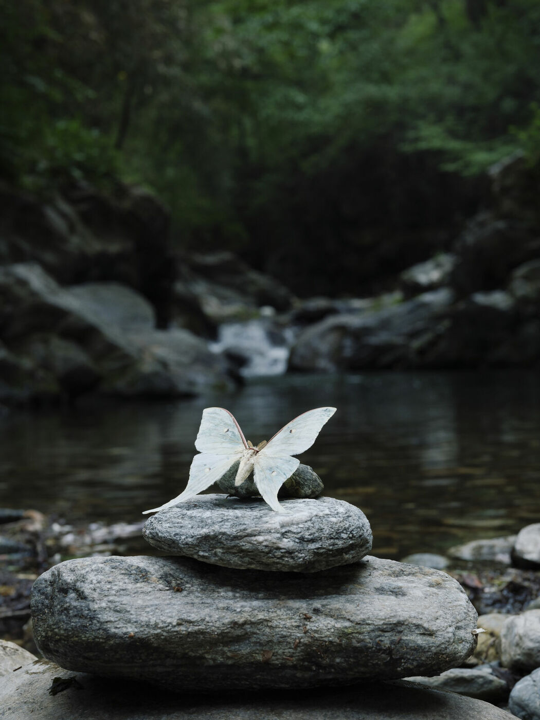 YiTuYu艺图语 Vol.9227 Man Moto Satomi (14P)