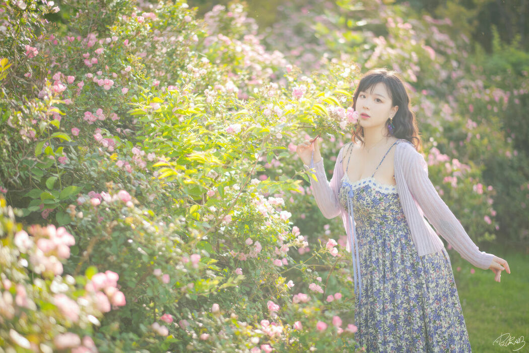 Coser@皮皮奶可可爱了啦 – 蔷薇花 (37P)