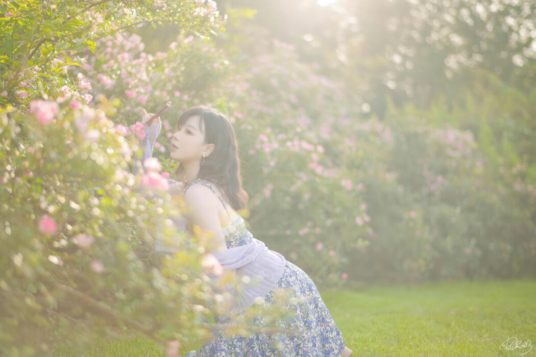 Coser@皮皮奶可可爱了啦 – 蔷薇花 (37P)