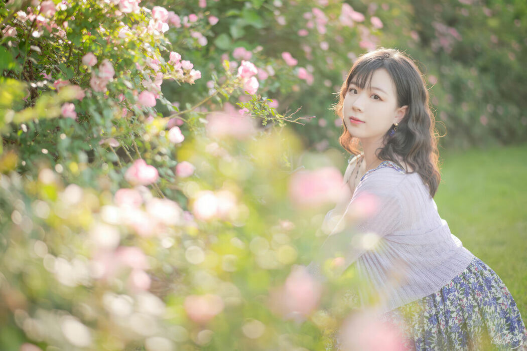 Coser@皮皮奶可可爱了啦 – 蔷薇花 (37P)