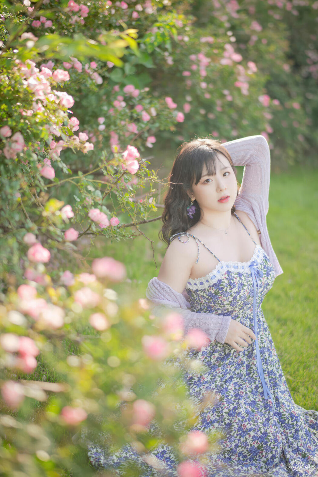 Coser@皮皮奶可可爱了啦 – 蔷薇花 (37P)