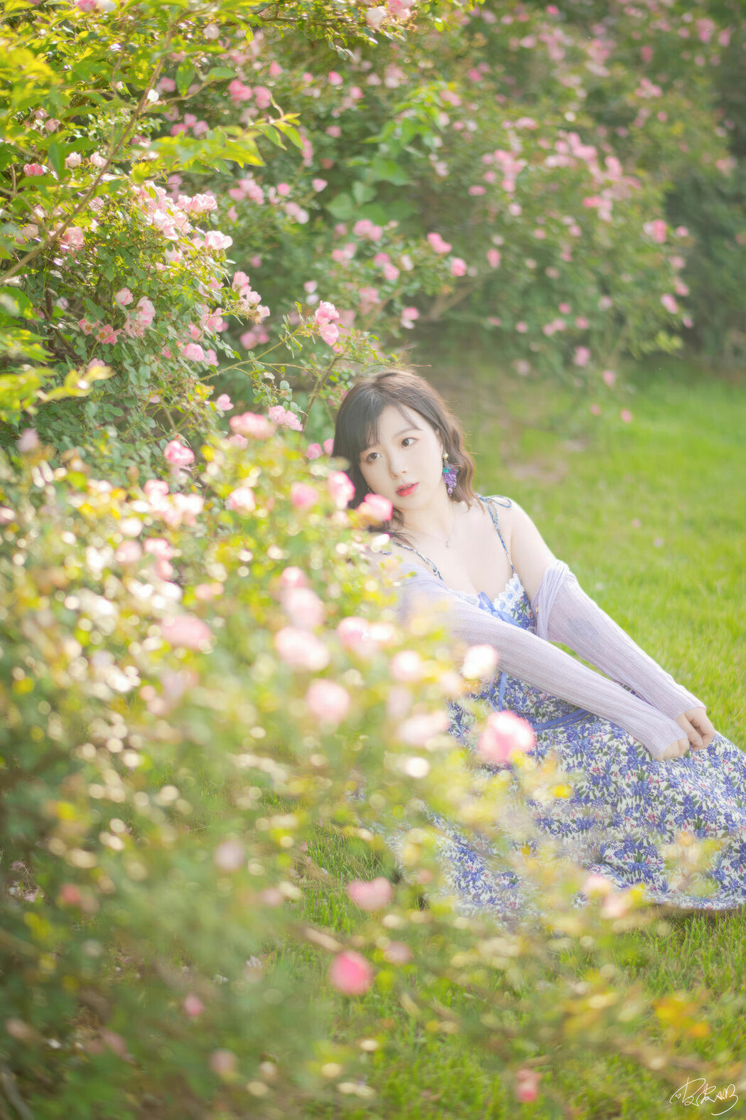 Coser@皮皮奶可可爱了啦 – 蔷薇花 (37P)