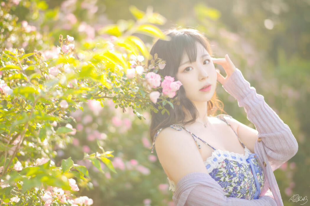 Coser@皮皮奶可可爱了啦 – 蔷薇花 (37P)