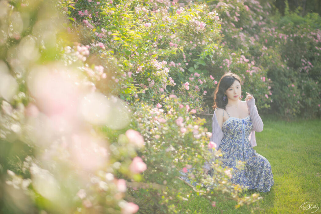 Coser@皮皮奶可可爱了啦 – 蔷薇花 (37P)