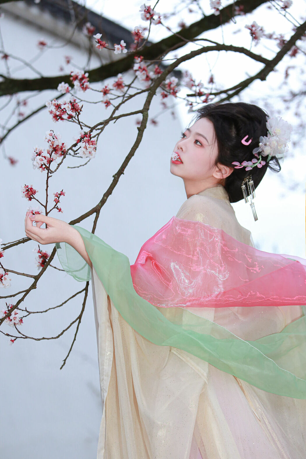 YiTuYu艺图语 Vol.9245 Fei Fei (14P)