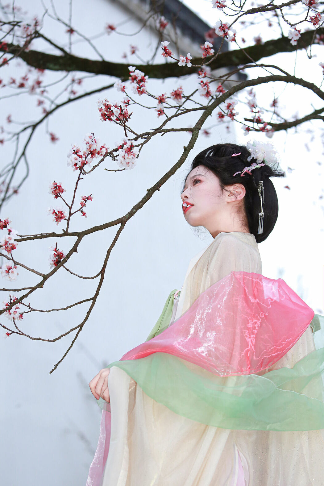 YiTuYu艺图语 Vol.9245 Fei Fei (14P)