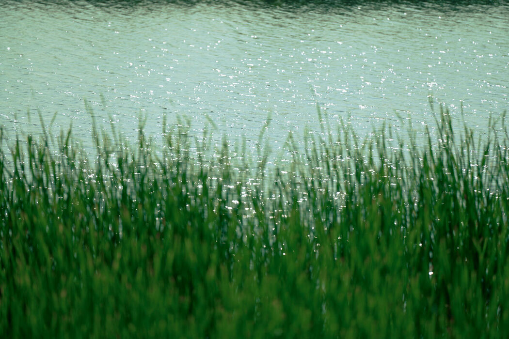 YiTuYu艺图语 Vol.9254 Tian Xin Ya Ya (31P)