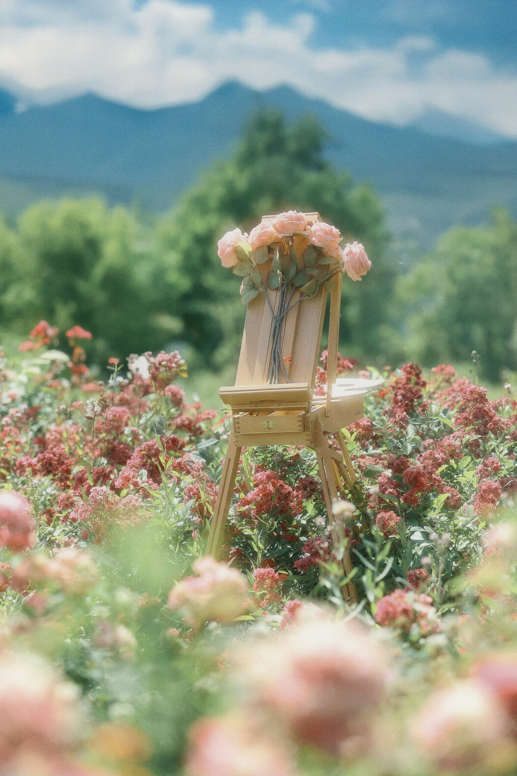 YiTuYu艺图语 Vol.9257 Shi Zi (34P)