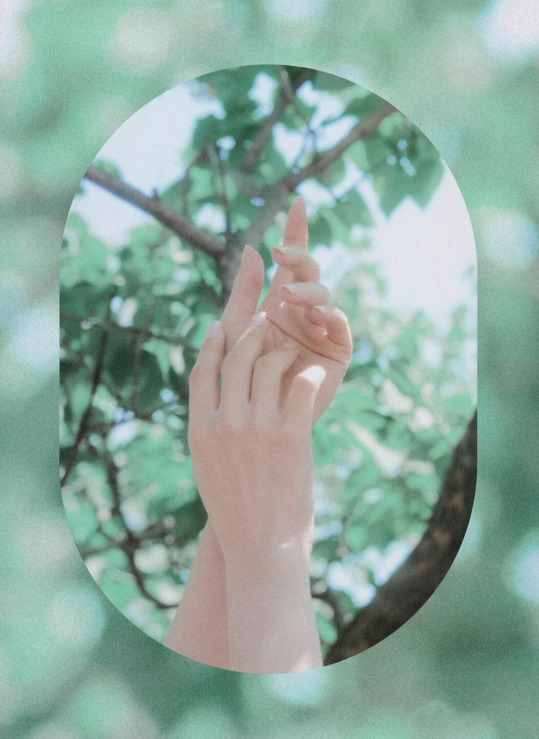 JP Sakura Miyawaki 宮脇咲良 – Graduation Visual Booklet (85P)