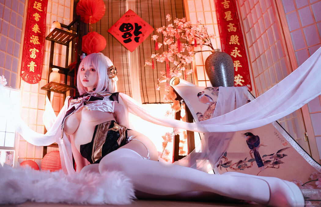 Coser@wendydydydy_酱油 – 碧蓝航线-天狼星旗袍 (19P)