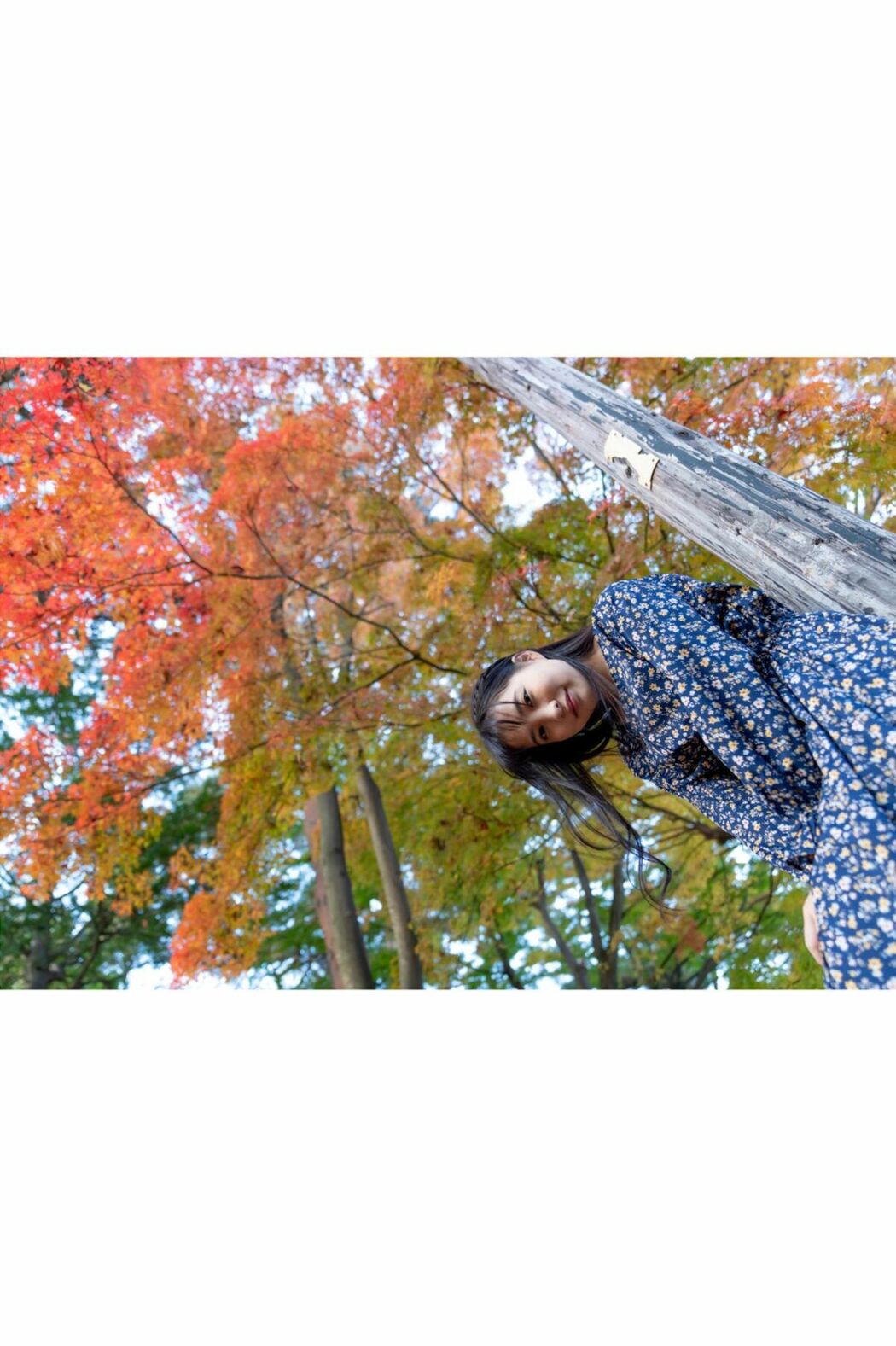 JP Aoi Kururugi 枢木あおい – グラビア写真集 PRESTIGE PHOTOGENICS (38P)