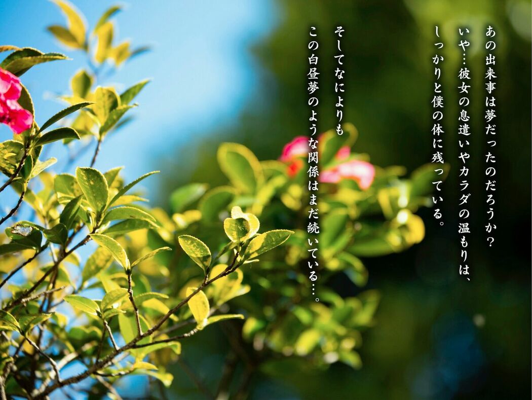 JP Rika Sakurada 桜田梨加 – ヌード写真集 昼下がりに咲くサクラ Part01 (51P)