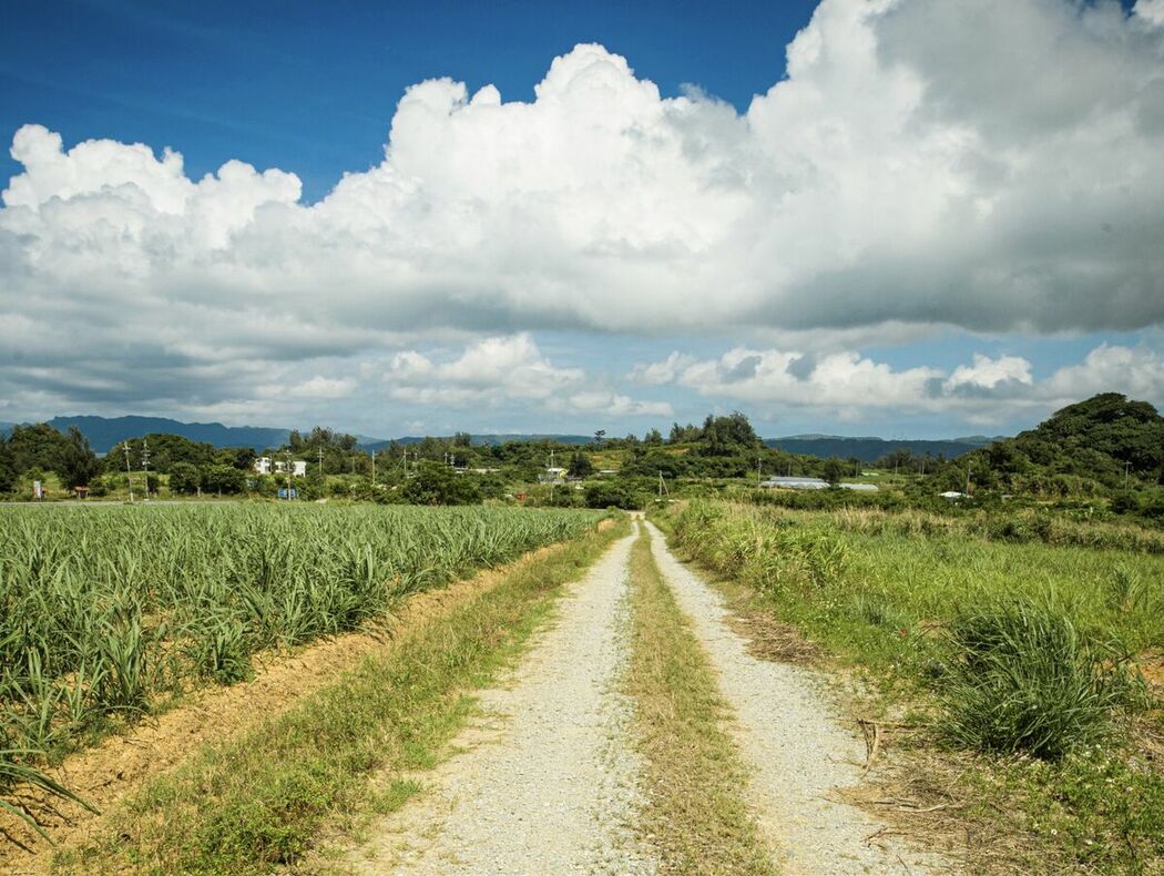 JP Sarina Momonaga 百永さりな – Sarina That day on the island of everlasting summer あの日、常夏の島で Part01 (48P)