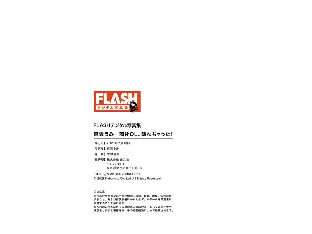 JP Shinonome Umi 東雲うみ – Flash Photobook Trading Company Office Lady It Got Torn 商社OL、破れちゃった (62P)