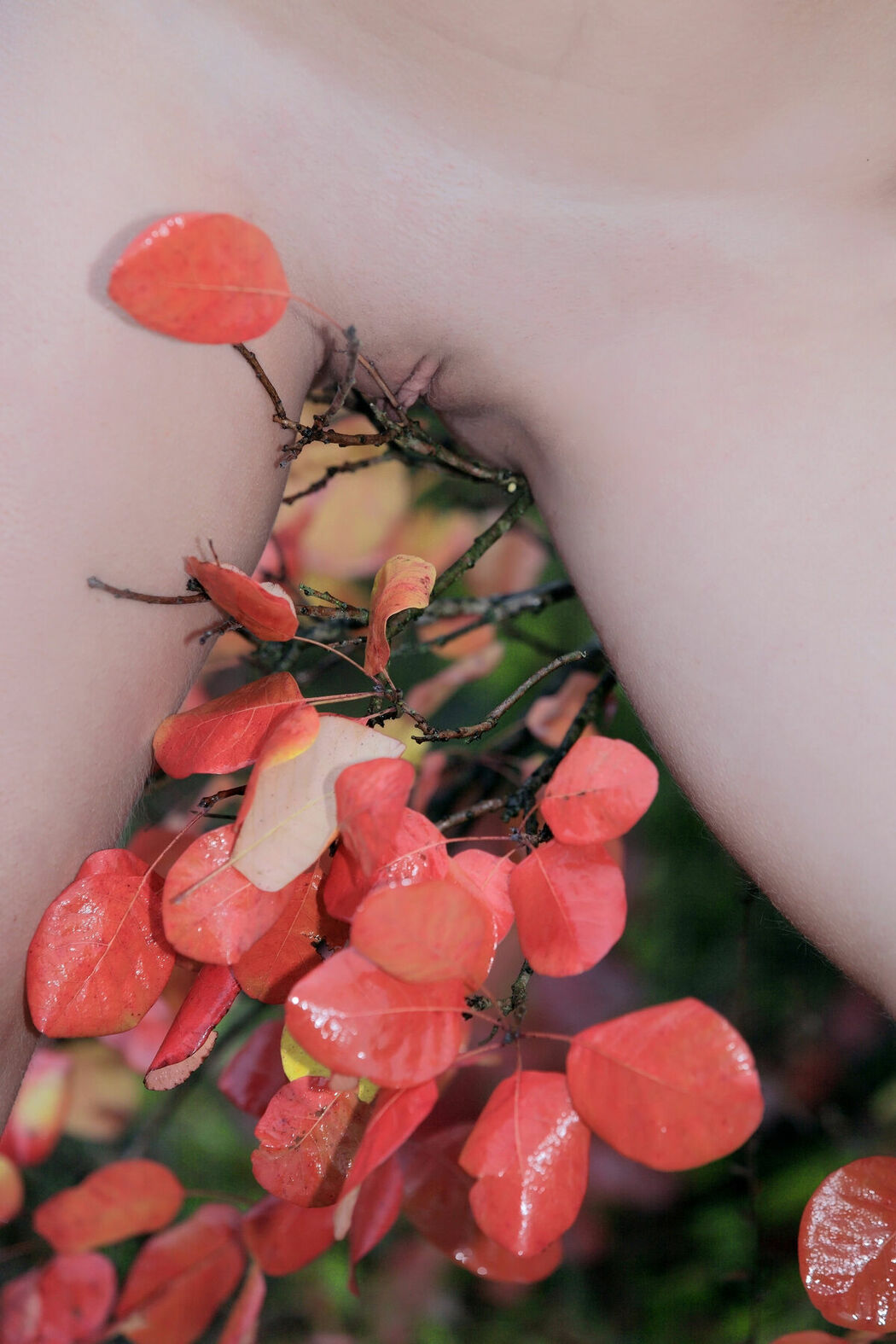 MetArt Manilla – Presenting Part02 (67P)