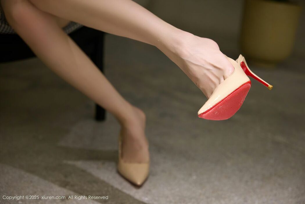 XiuRen秀人网 No.10902 Yin Tian Tian Sunny (61P)