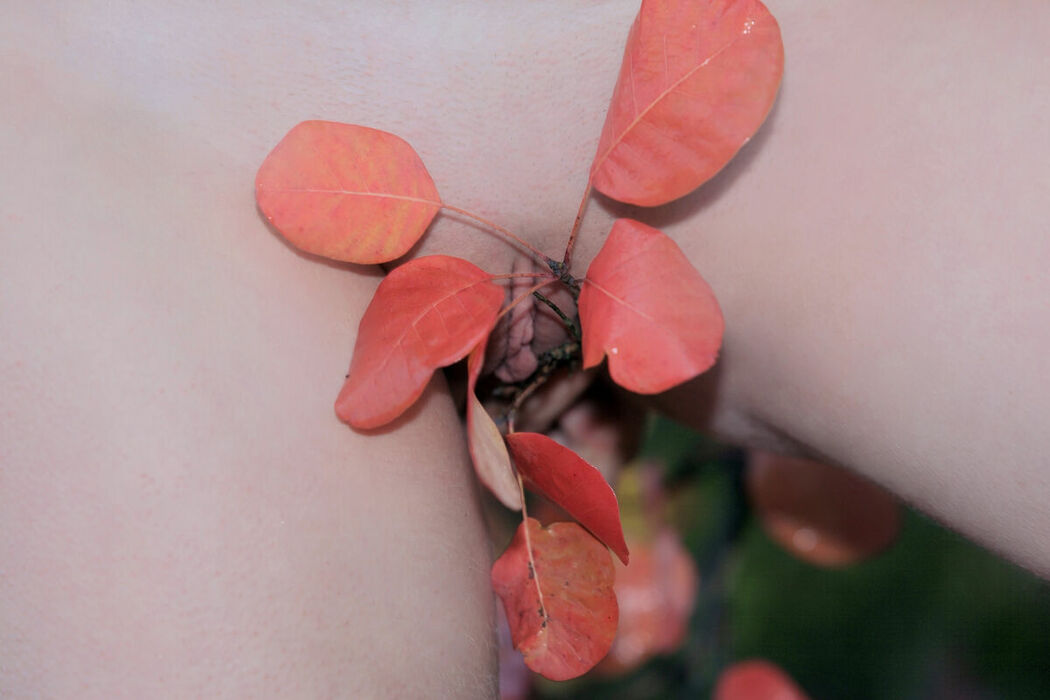 MetArt Manilla – Presenting Part02 (67P)