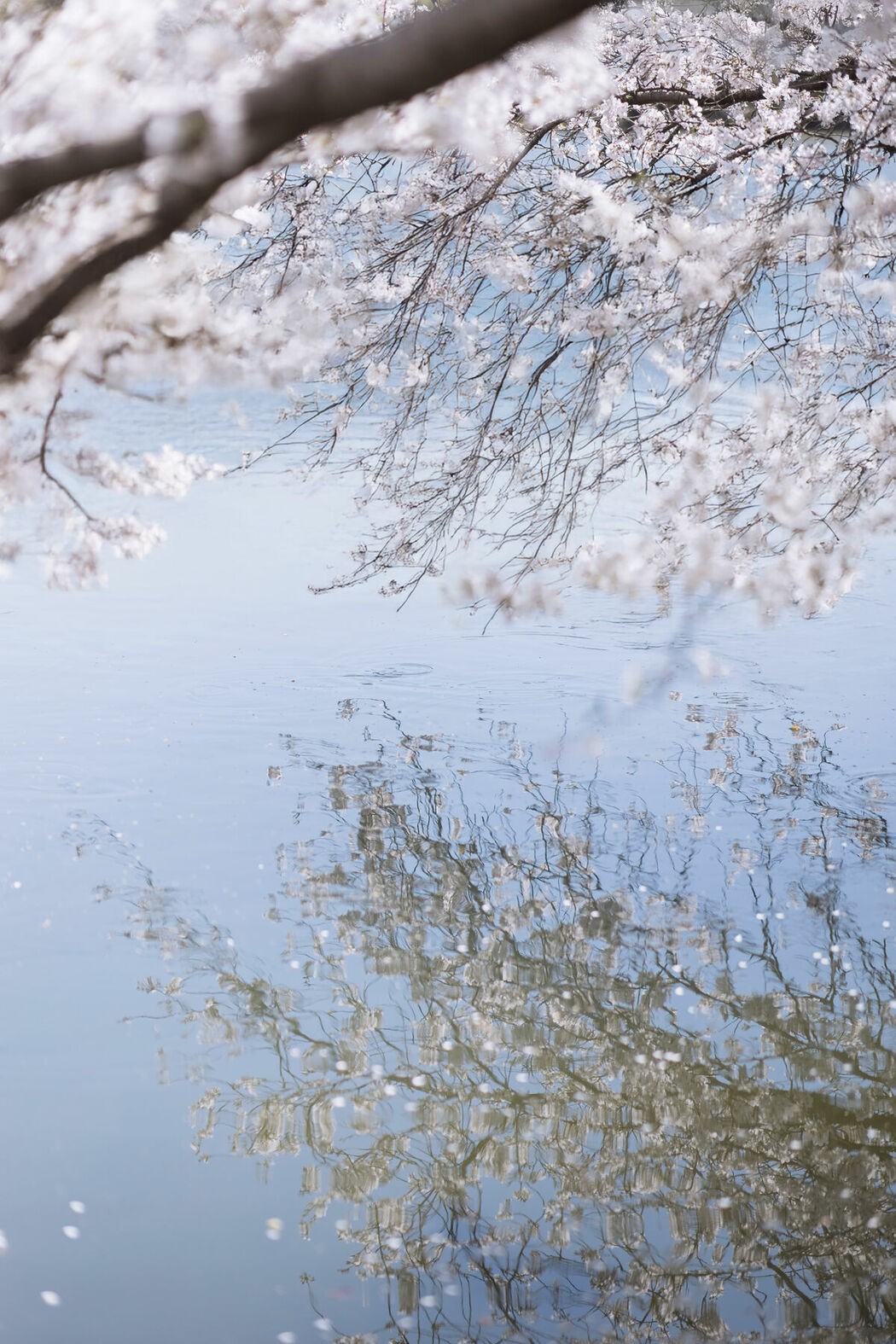 YiTuYu艺图语 Vol.9360 Shi Shuang Ling A (67P)