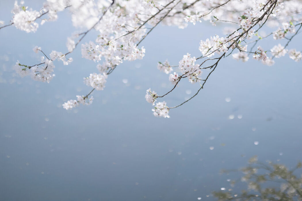 YiTuYu艺图语 Vol.9360 Shi Shuang Ling A (67P)