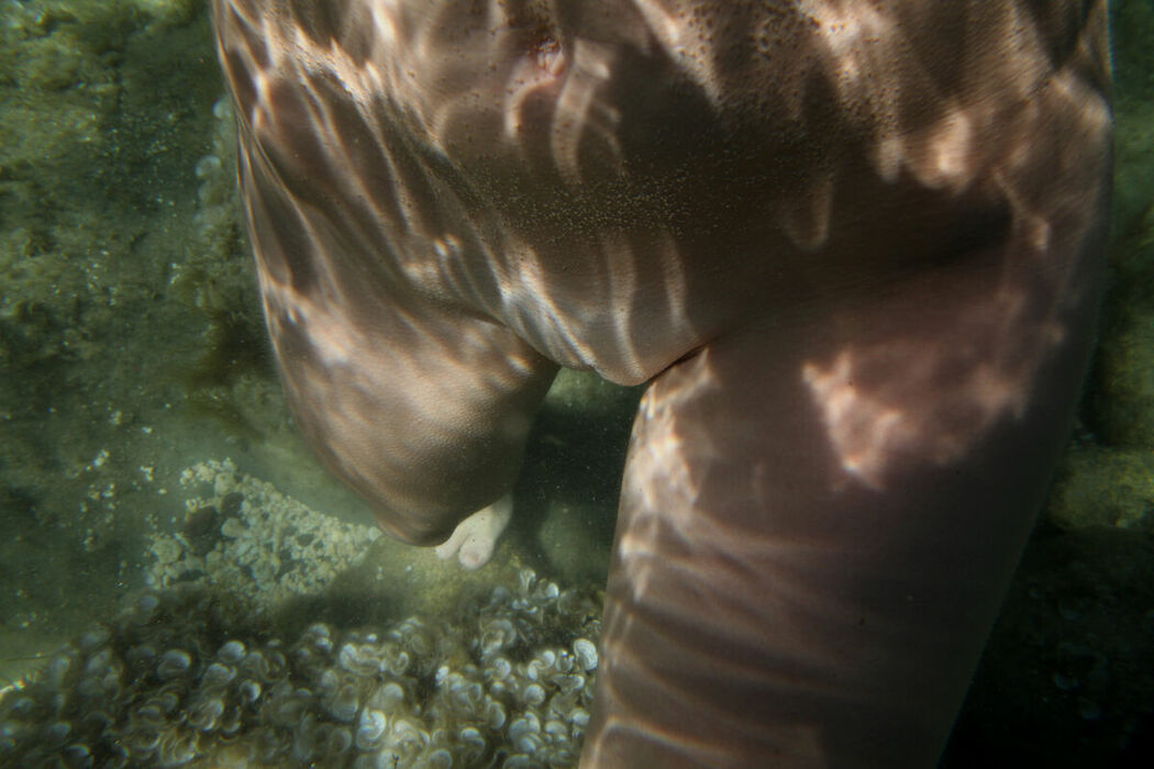 MetArt Firebird – Locant Part02 (62P)