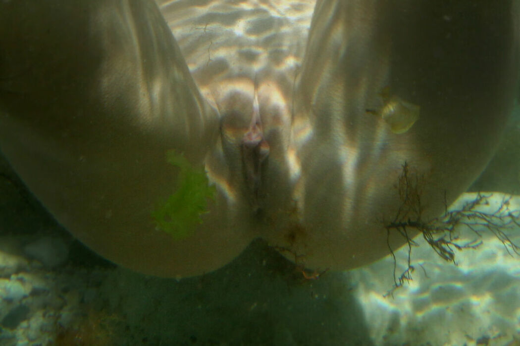 MetArt Firebird – Locant Part02 (62P)