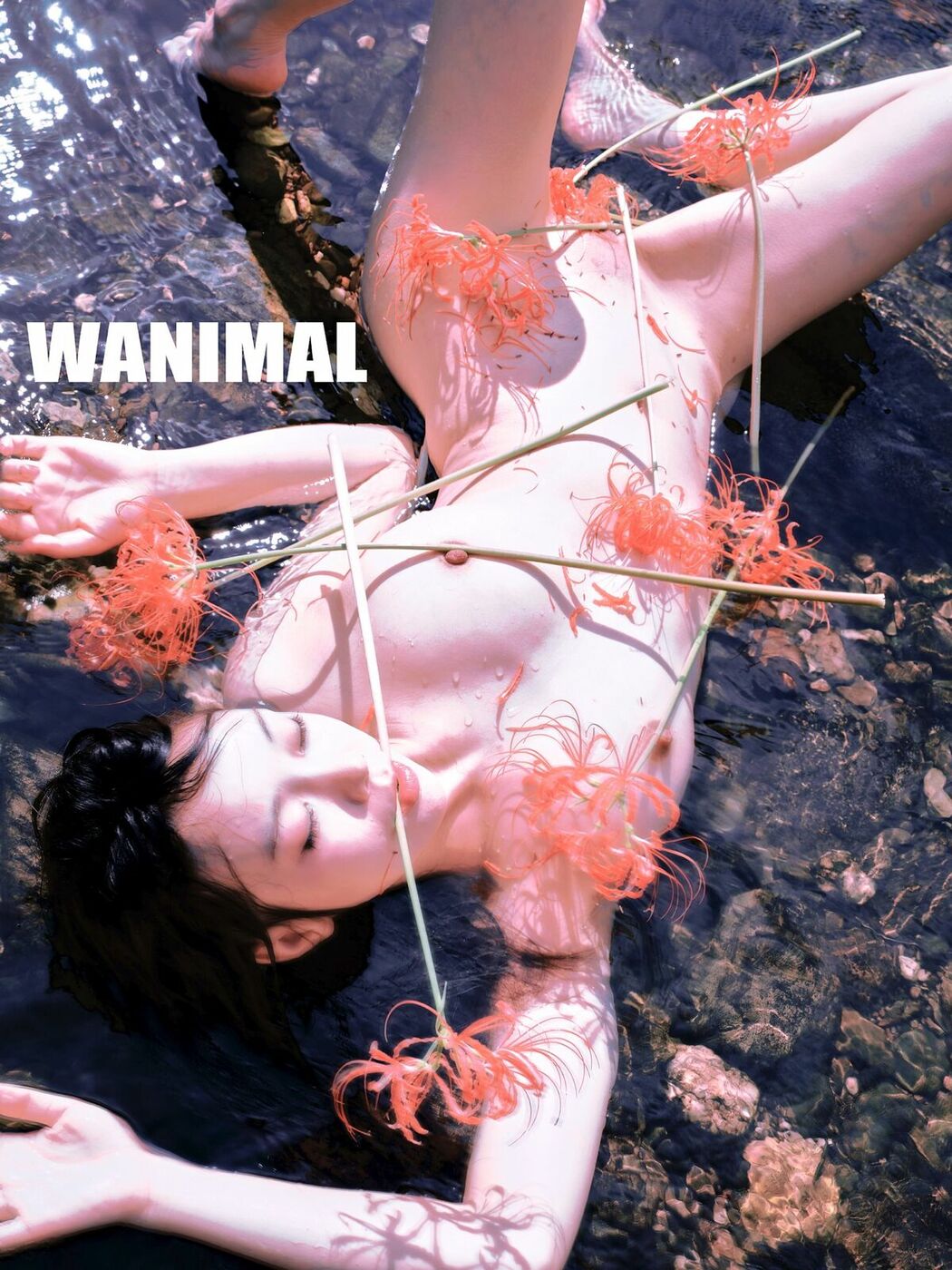 An Xiao An 桉小安 – X精致美模 童颜美乳视图合集 Part02 (68P)