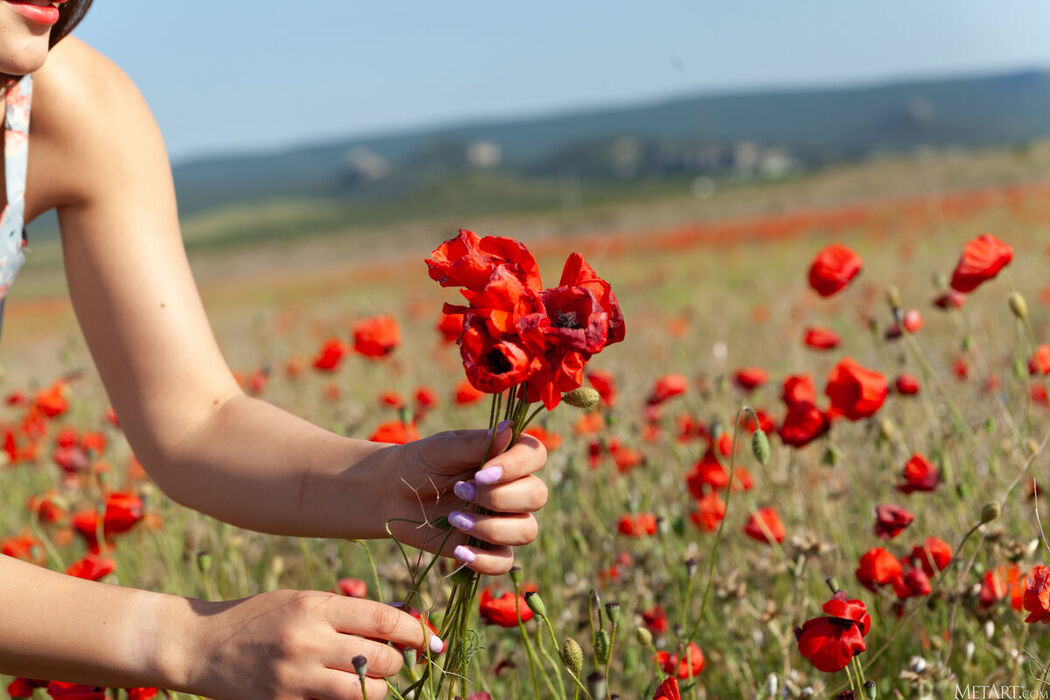 MetArt Sumiko – Poppy Field Part01 (66P)