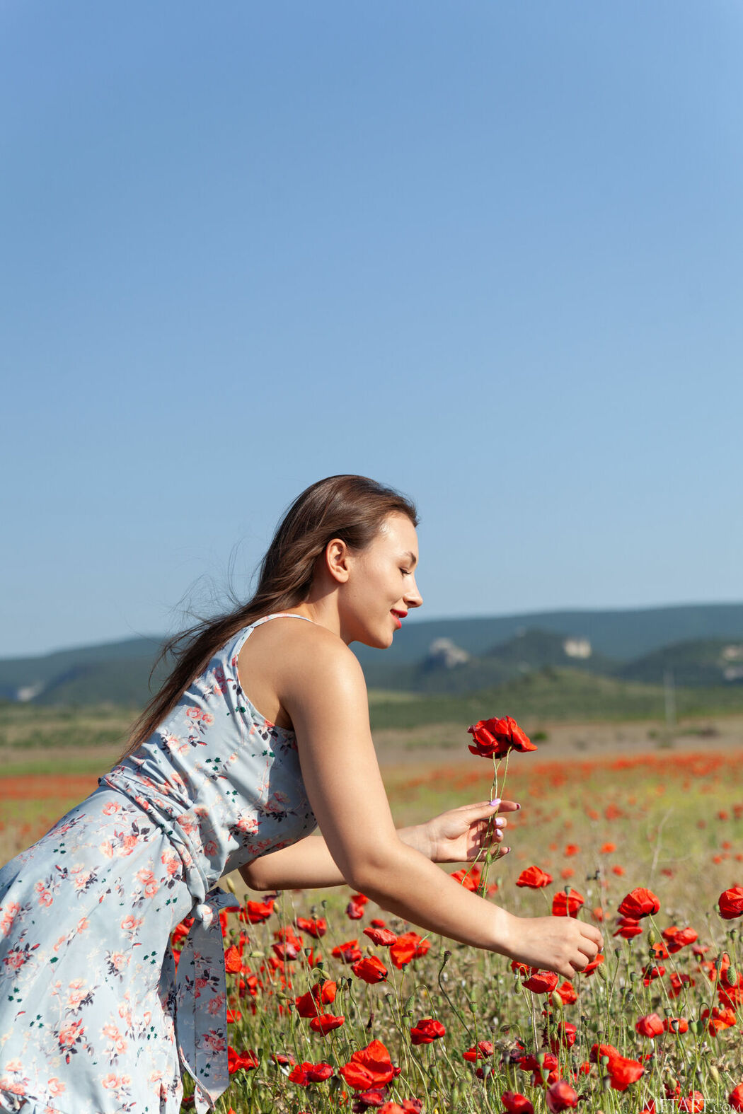 MetArt Sumiko – Poppy Field Part01 (66P)