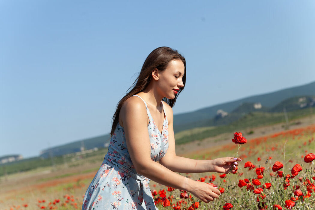 MetArt Sumiko – Poppy Field Part01 (66P)