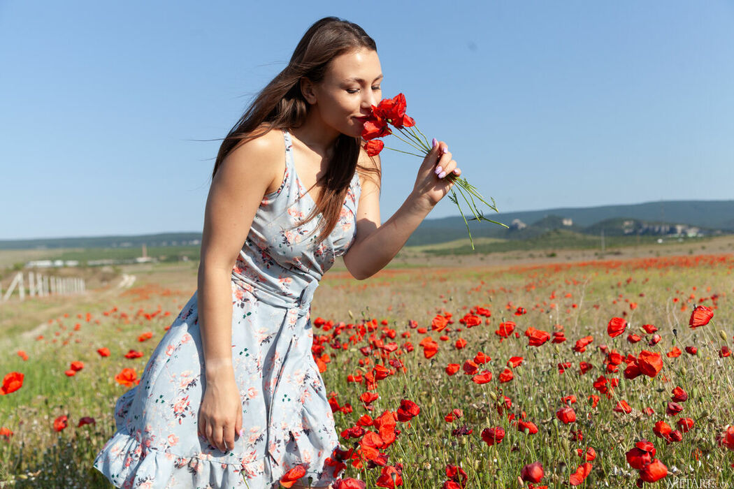 MetArt Sumiko – Poppy Field Part01 (66P)