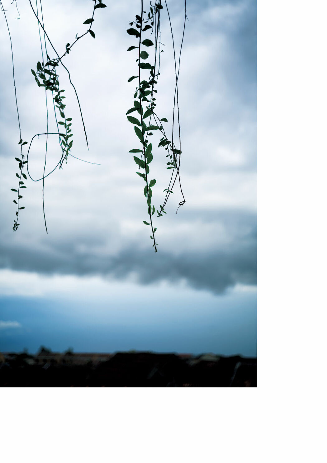 JP Miru Shiroma 白間美瑠 – 2025.11.14 写真集 MERCI Part02 (55P)