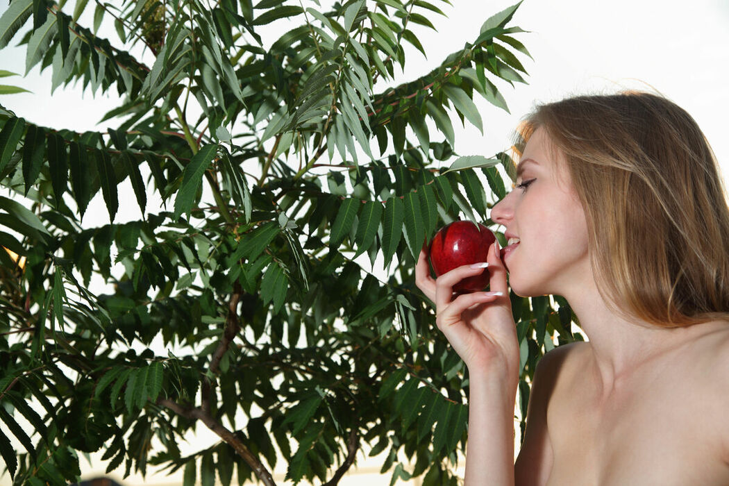 MetArt Katy – Einmal Part02 (72P)