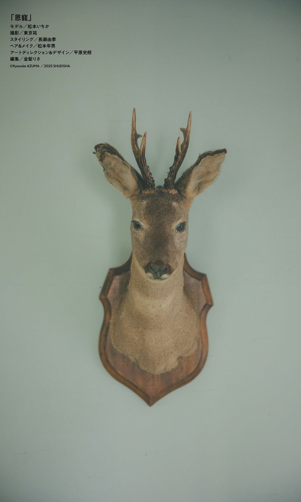 JP Matsumoto Ichika 松本いちか – デジタル限定 写真集 恩寵 週プレ PHOTO BOOK (73P)