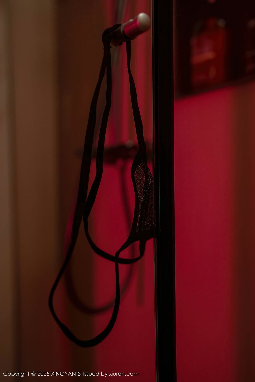 XingYan星颜社 Vol.424 Shen Nan Xi RuRu (72P)