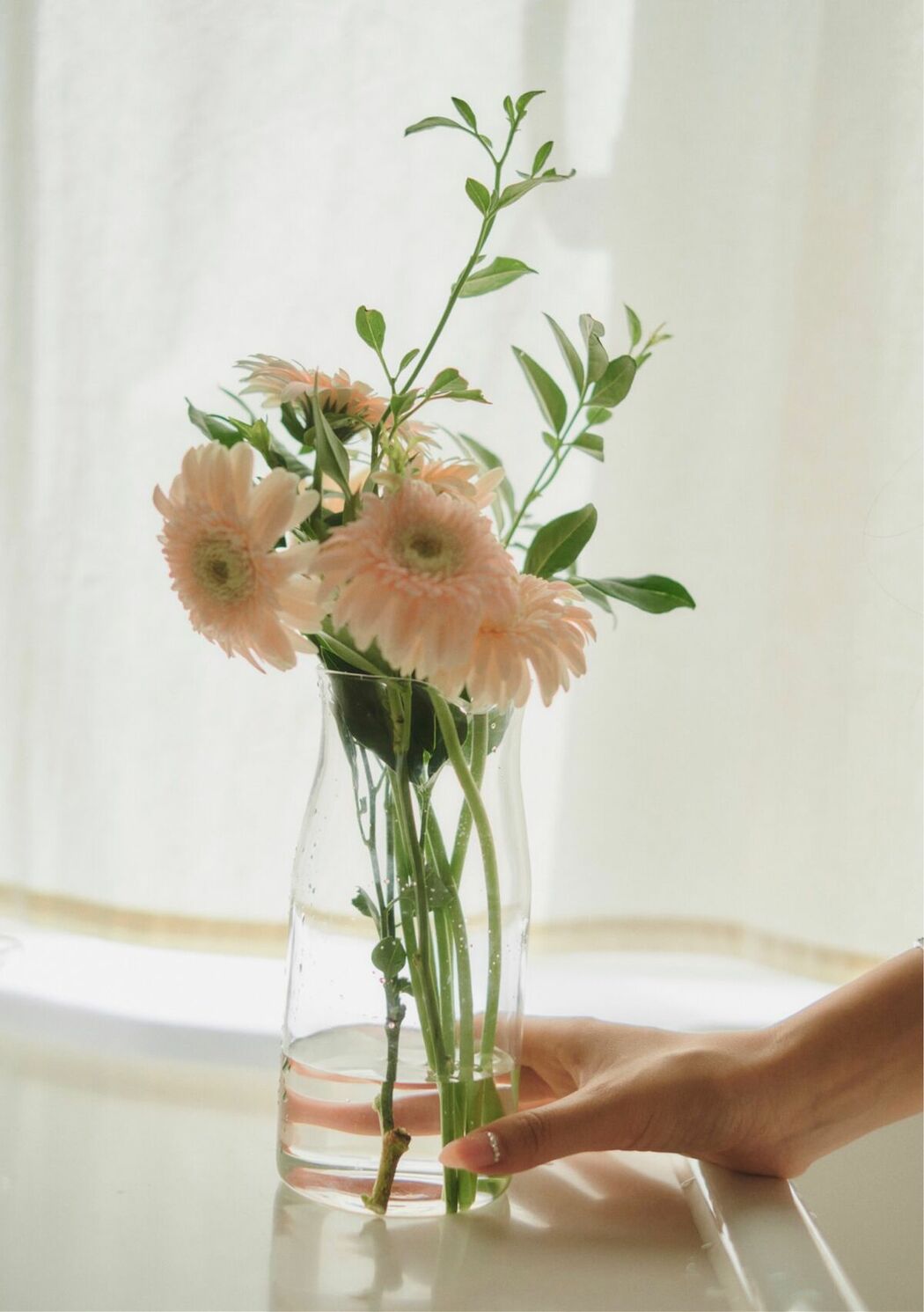 JP Momo Sakura 桜空もも – Trance Retinal とられち Part01 (51P)