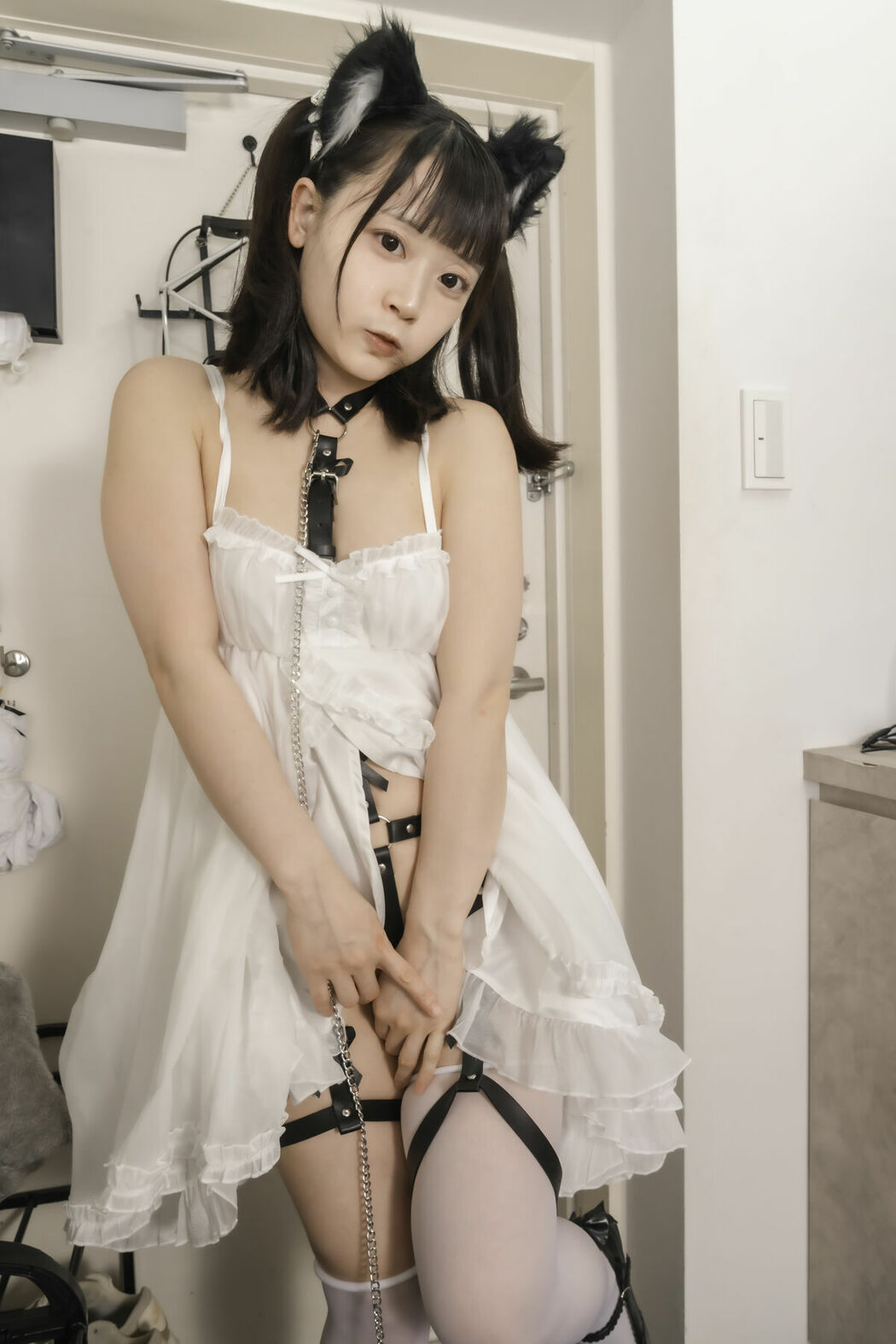 Coser@Salt Melon 塩めろん。 – 猫の恩返し 猫の正体はドスケベ変態女でした (85P)