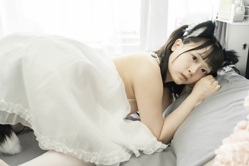 Coser@Salt Melon 塩めろん。 – 猫の恩返し 猫の正体はドスケベ変態女でした (85P)