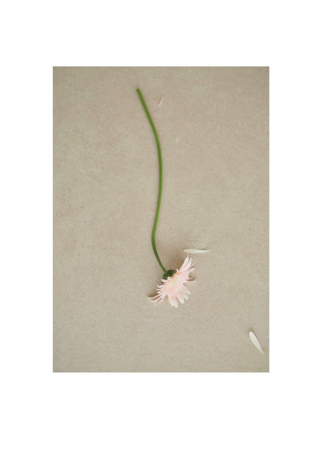 JP Momo Sakura 桜空もも – Trance Retinal とられち Part03 (52P)