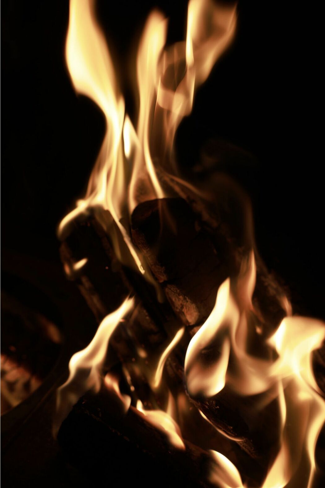 JP 週刊ポストデジタル写真集 8woman Last Dance 裸女神 景 (84P)